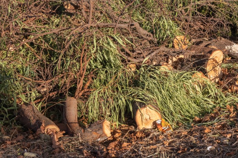 Debris Removal in Progress