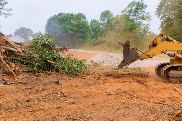 Ground Clearing in Goshen