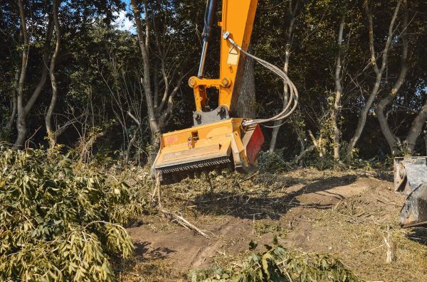 Brush Removal Service in Goshen