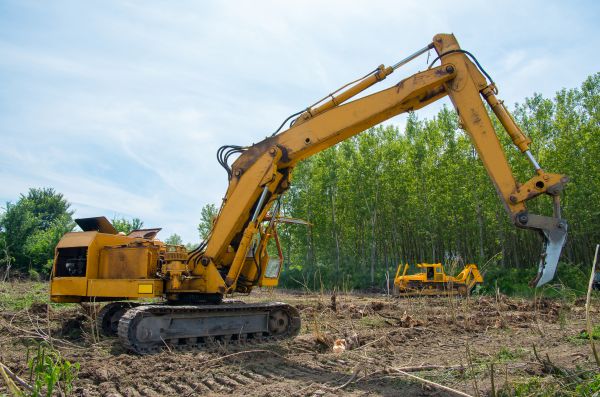Farm Clearing in Goshen