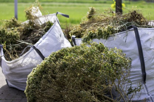 Cost of Bushes Clearing in Goshen