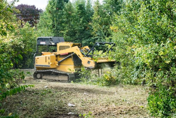 Pathway Clearing in Goshen