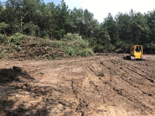 Thicket Clearing in Goshen